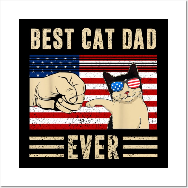 Best Cat Dad Ever American Flag Wall Art by Jenna Lyannion